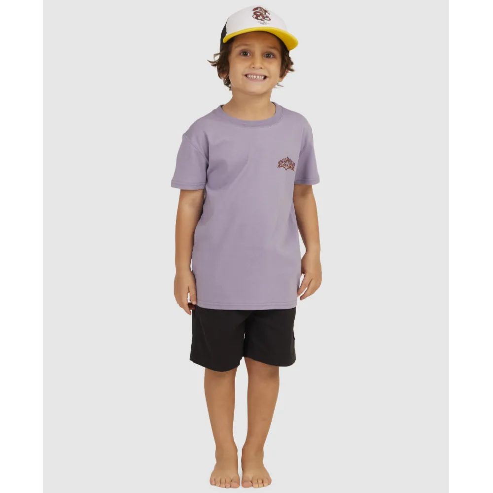 Billabong Vintage Diamond Boys Tee - Haze Purple