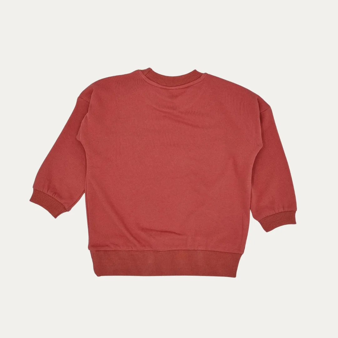 Birds Organic Sweatshirt  Salmon Colour