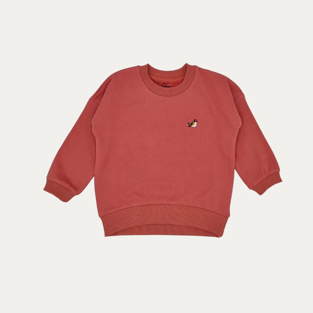 Birds Organic Sweatshirt  Salmon Colour