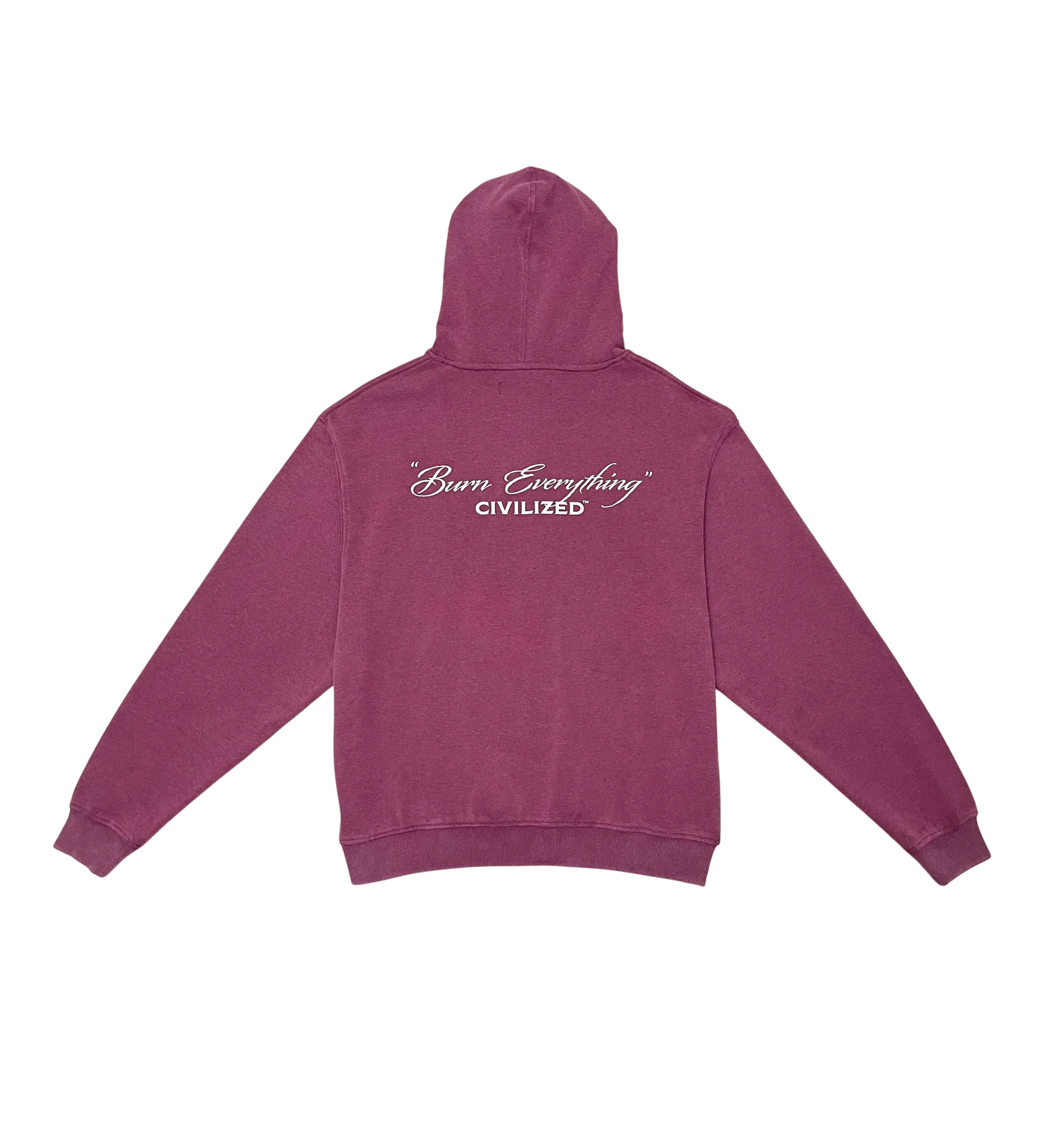 Burning Money Hoodie