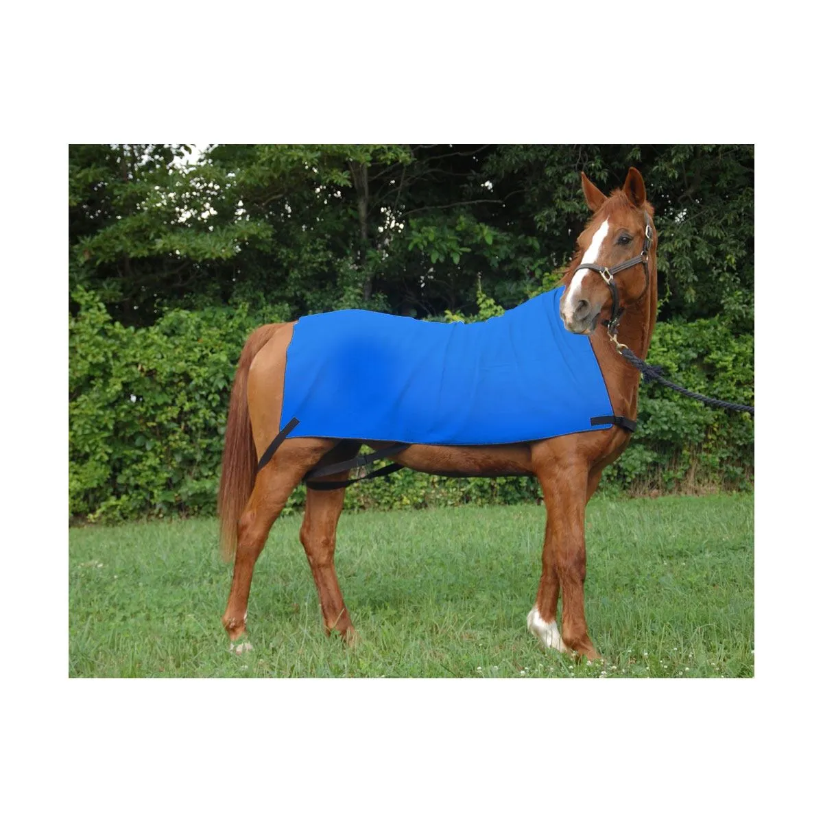 Equi Cool Down Equine Body Wrap