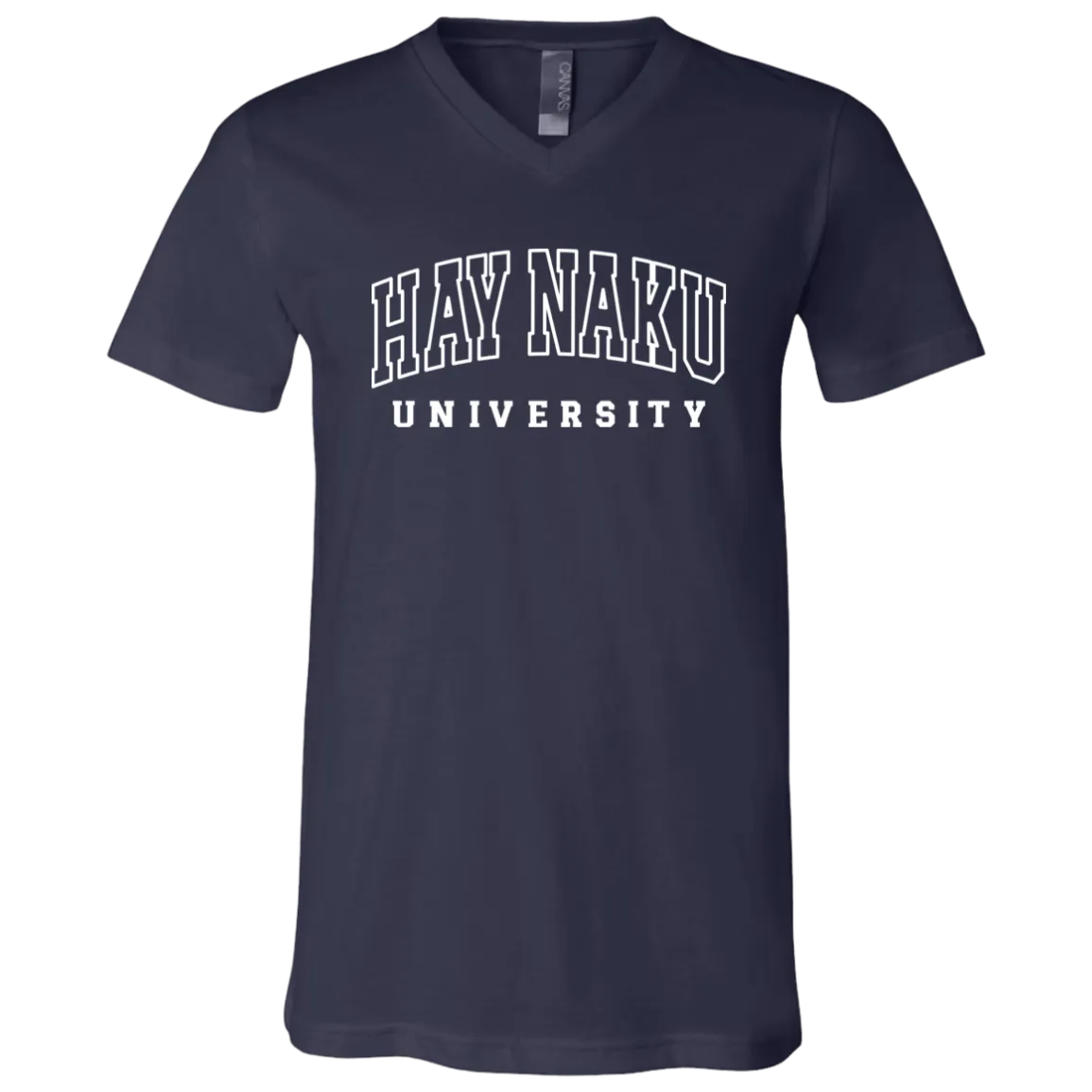 Hay Naku University Law Unisex Jersey V-Neck T-Shirt