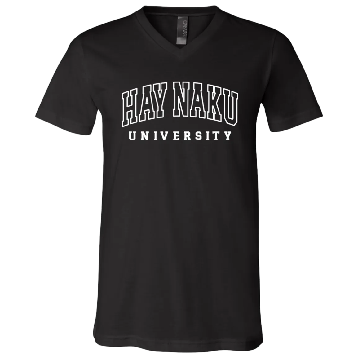 Hay Naku University Law Unisex Jersey V-Neck T-Shirt