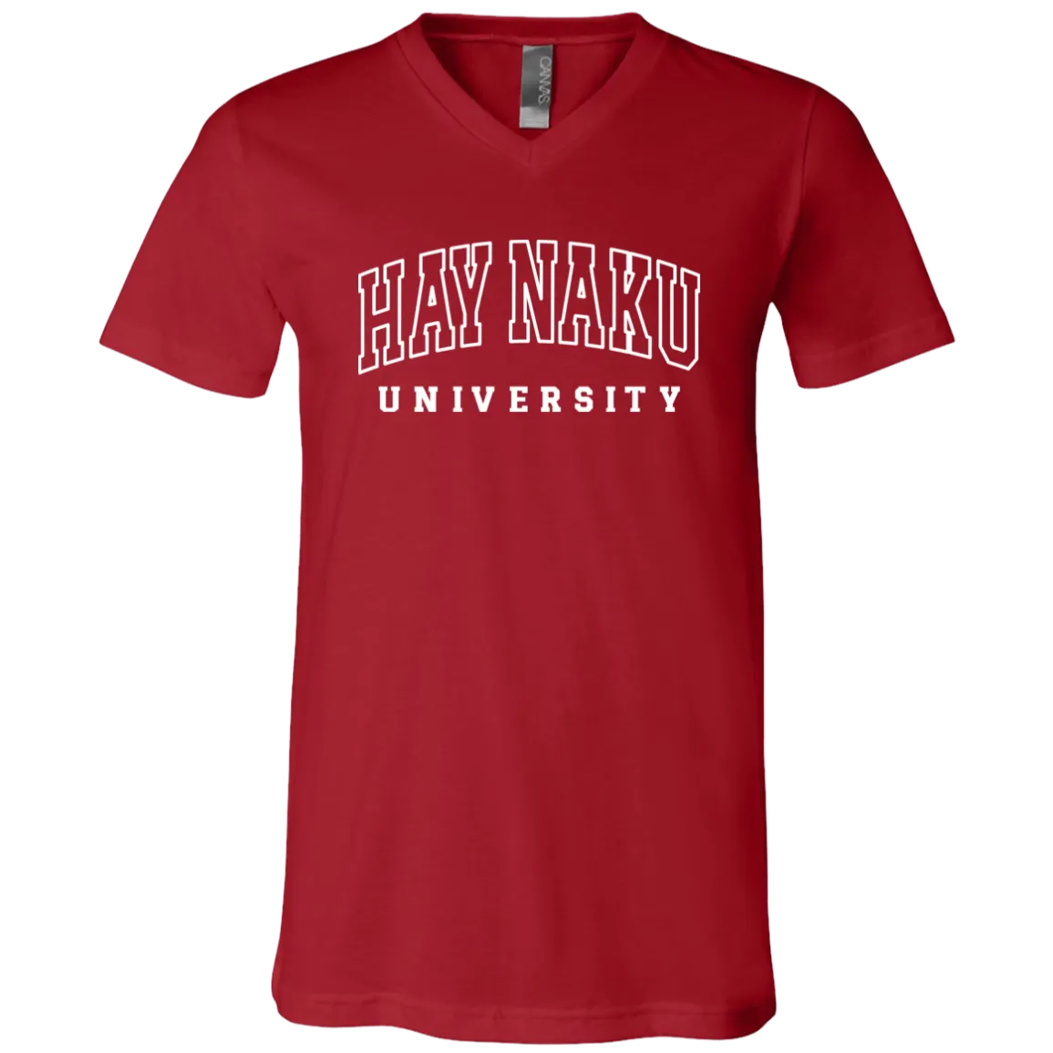 Hay Naku University Law Unisex Jersey V-Neck T-Shirt