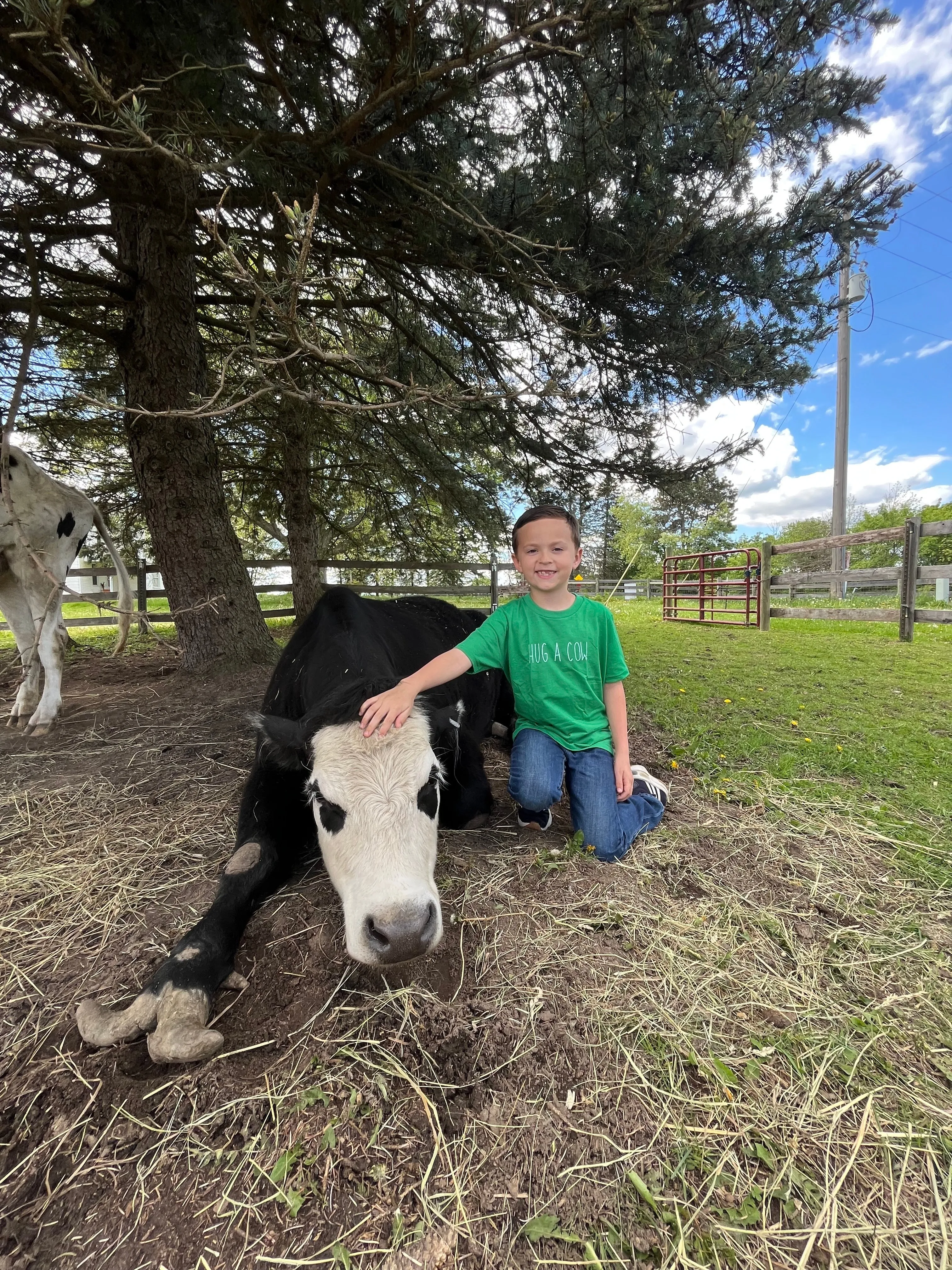 Hug a Cow Tee YOUTH - Green