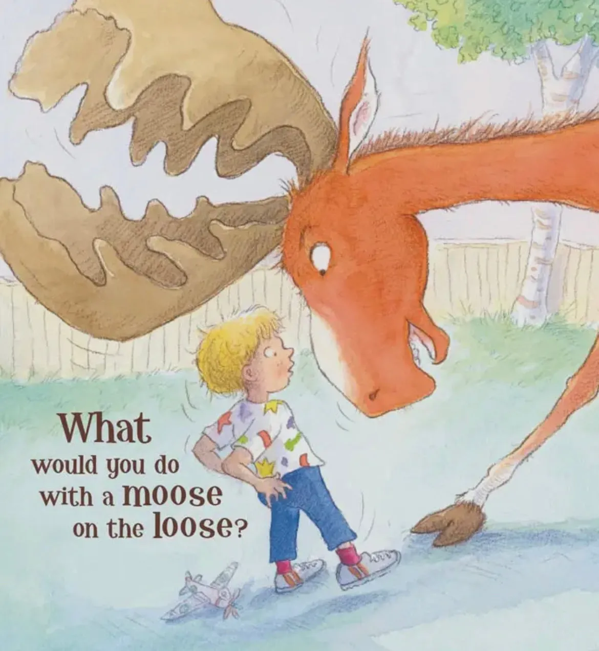 Moose On the Loose
