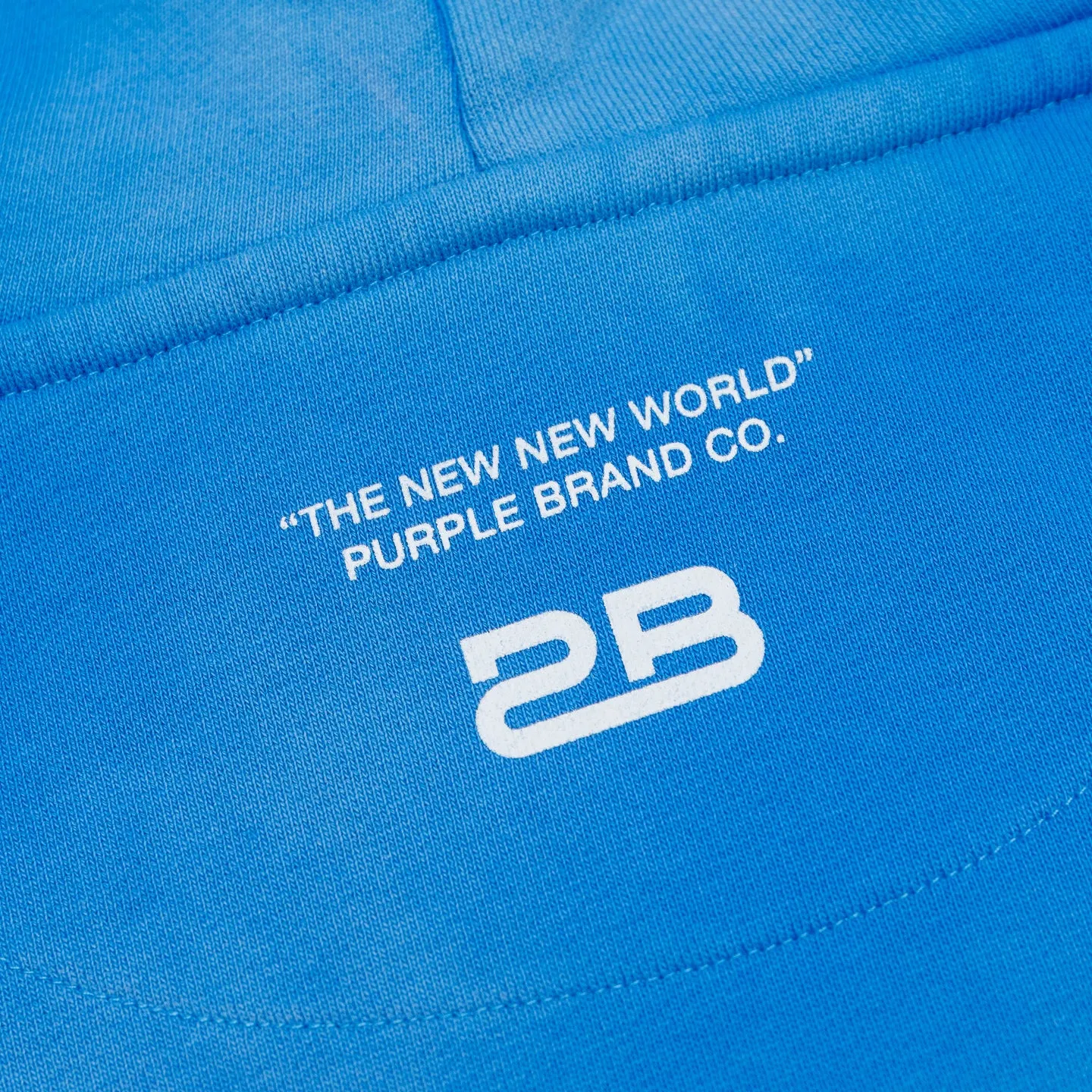 PURPLE Brand P410 French Terry Hoodie 'Blue'