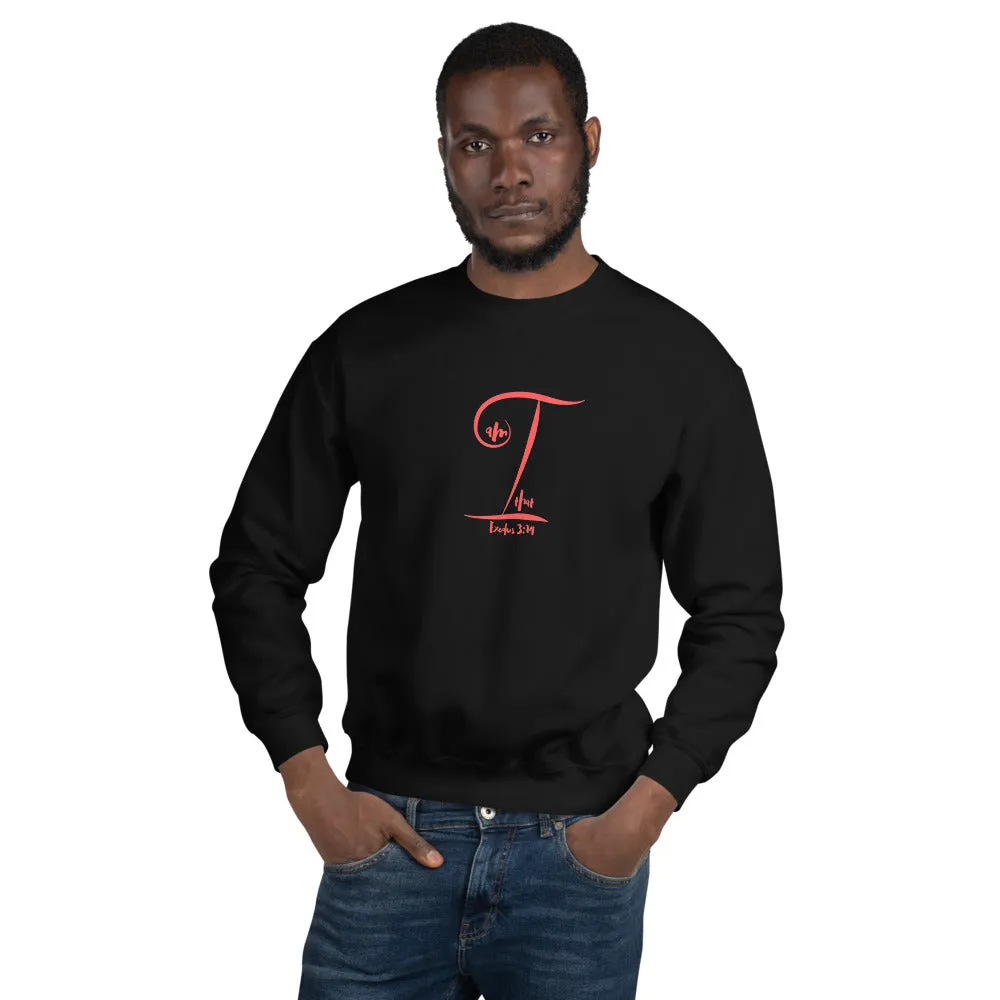 Sweatshirt, T-Shirt