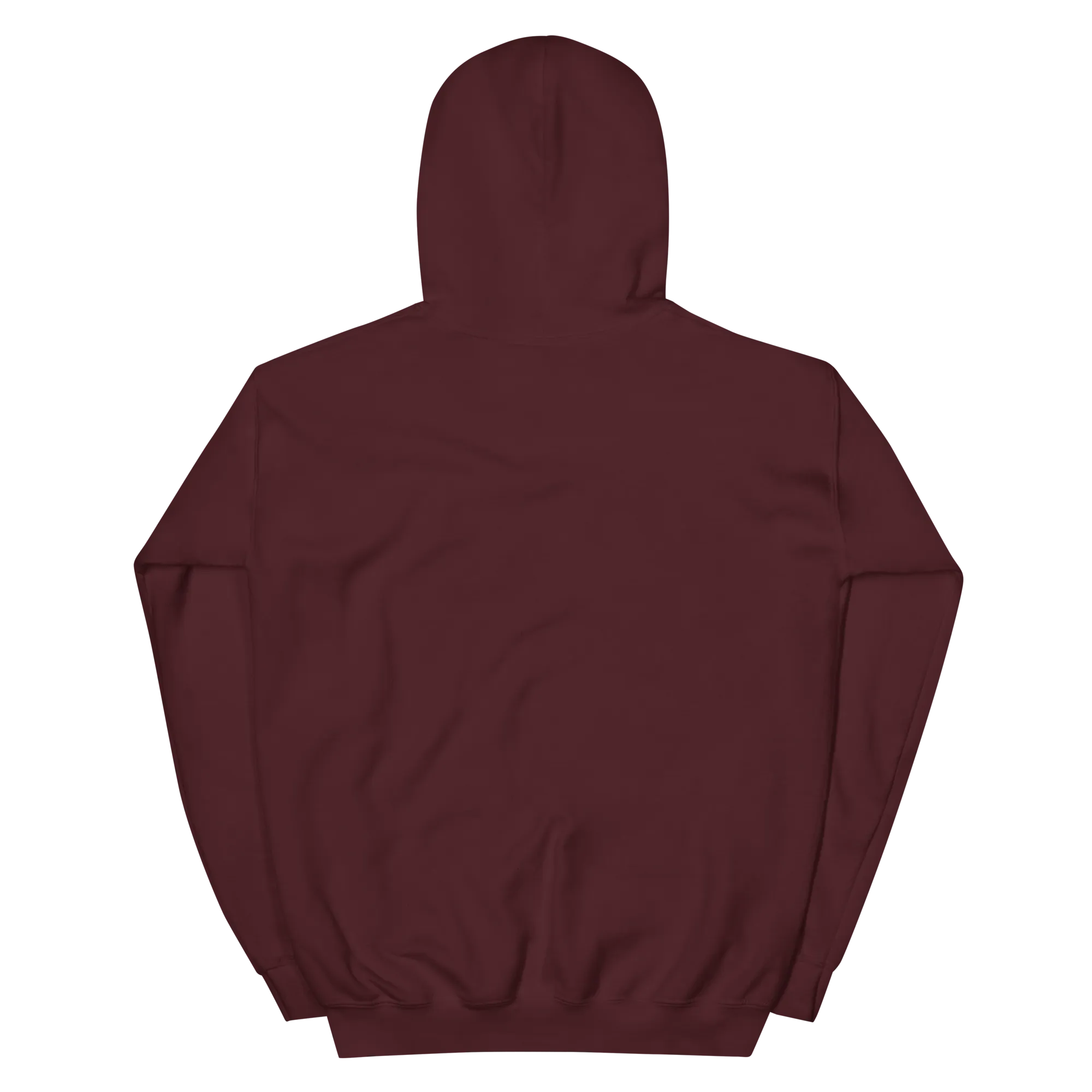 To Frio Snowflake Sleeve Dominican Unisex Hoodie