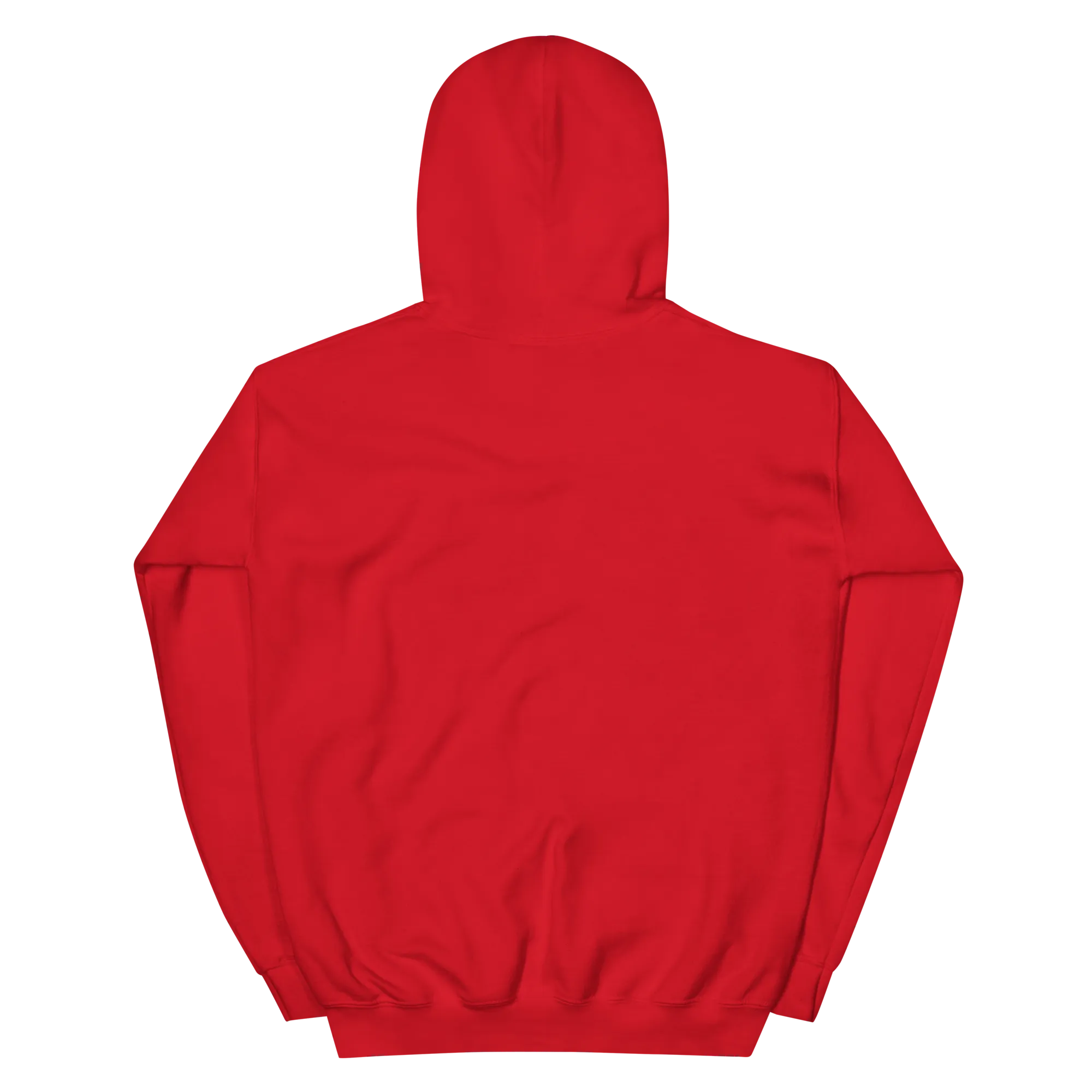 To Frio Snowflake Sleeve Dominican Unisex Hoodie