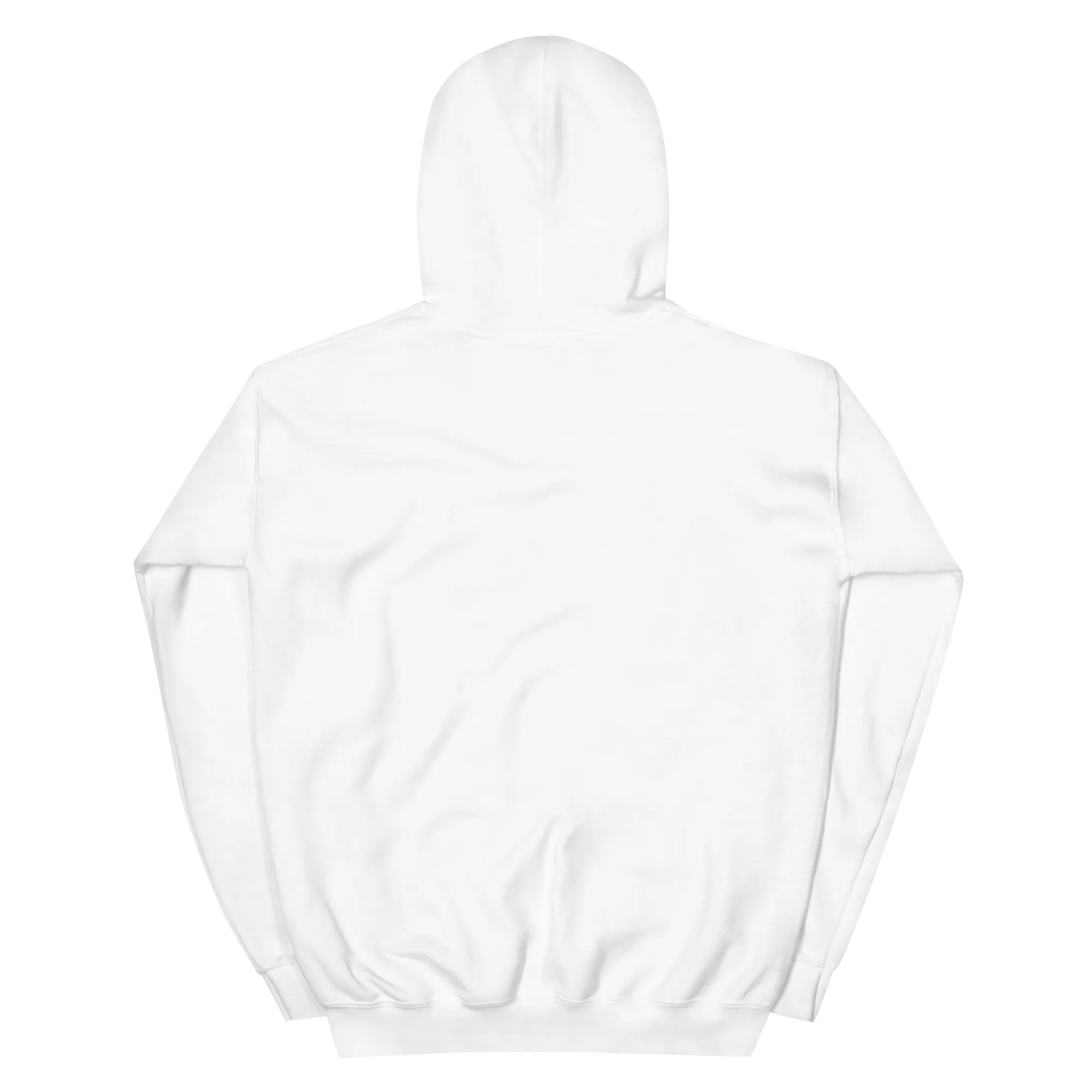 To Frio Snowflake Sleeve Dominican Unisex Hoodie