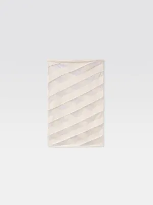 Zebara Skirt